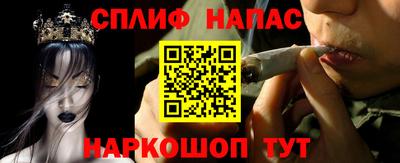 бошки Славгород