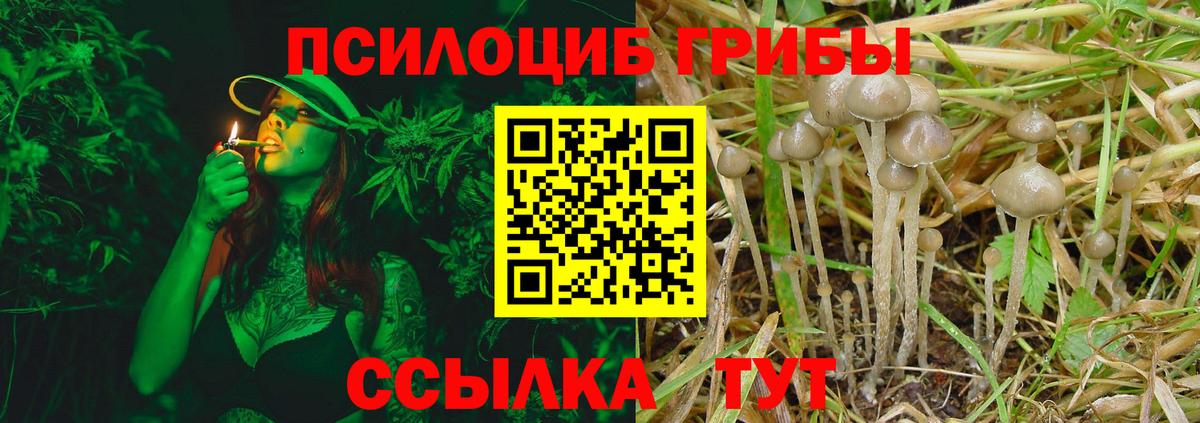 Балашиха  Галлюциногенные грибы мицелий  купить наркоту  Вход с VPN 